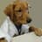 Dr Dog