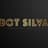 BOT Silva