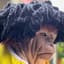 Bob Monkey