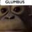 GLUMBOID