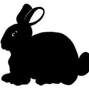 TheBlackBunny