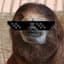 Sloth Boi