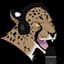 IrateCheetah