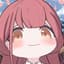 NesHOHO