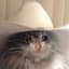 Outlaw_Haley
