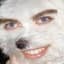 Zipper Bear