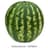 obese watermelon