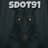 SDOT91