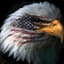 MURICA203