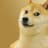 Doge
