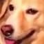 RaySqueezed