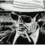 gonzo