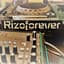 Rizoforever