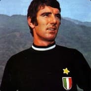 DinoZoff1