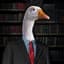 SenatorGoose