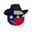 Texannotdixie