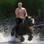 Putinsbear