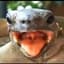 PropagandaTurtle