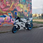 R6_Misiek_RJ11