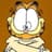 Garfield lover