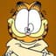 Garfield lover