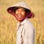 Simple Rice Farmer