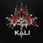 EvilKali