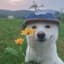 Oleg the Thunder