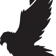 grayraptor50