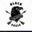 __BlackEagle__