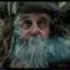 Radagast