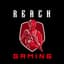 ReachGaming