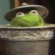Lil_Trash_Toad