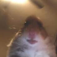 Aidan