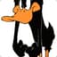 CrazyDuck