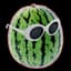 aWildWatermelon