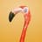 Pablo The Flamingo