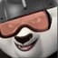 ski-doosh