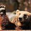 Bearly