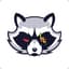 The Raccoon