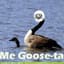 Goose