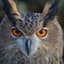EagleOwl