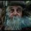 Radagast The Brown