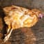 DeadChicken