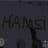 Hamsİ