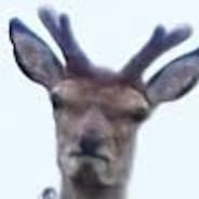 Angry Cotchnillollin
