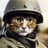 SoldierCatson