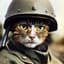 SoldierCatson