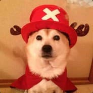 青春莫桑比克不会梦到獒犬学姐