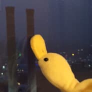 Swoop